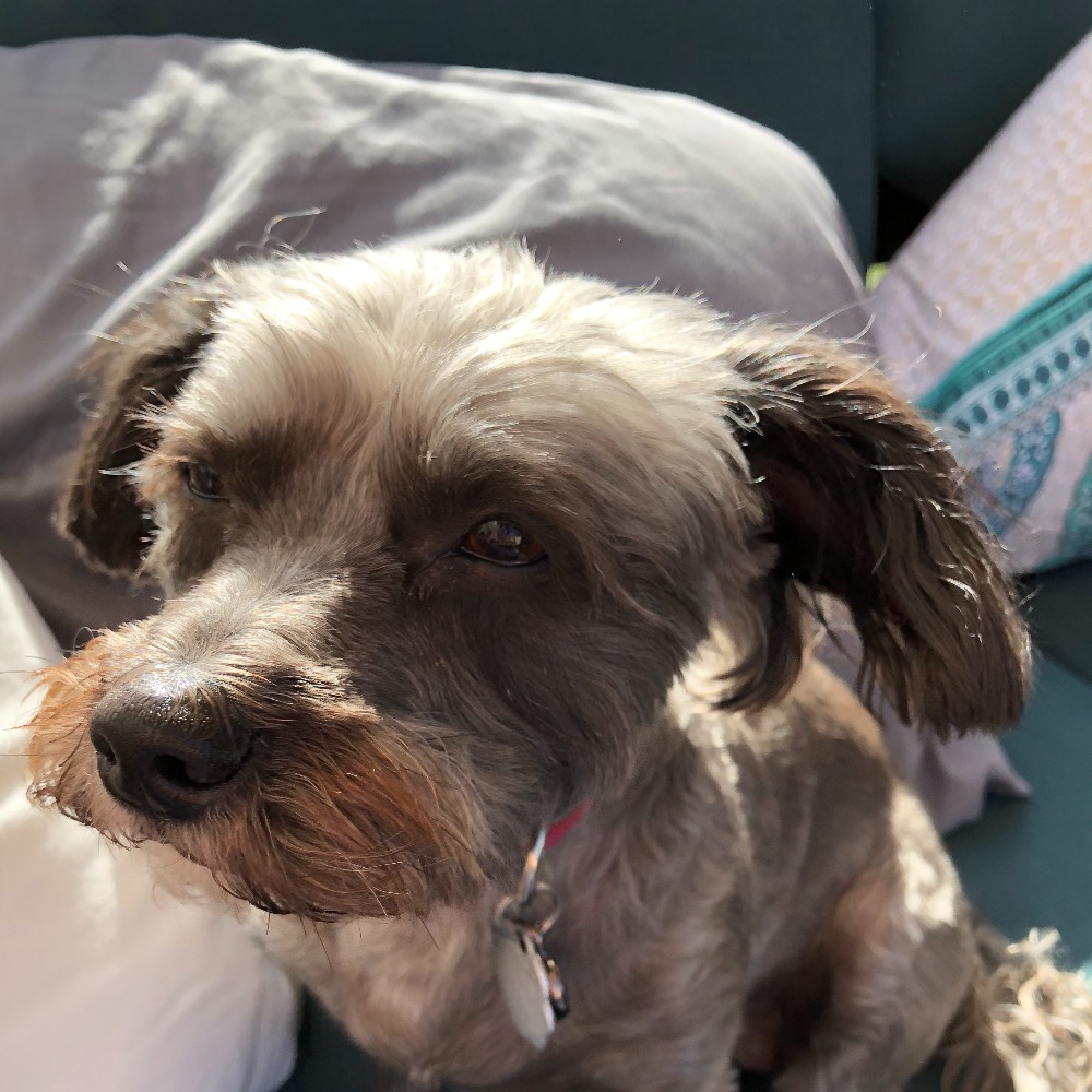 Meet your Posher, Jerilyn